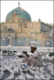 An Afghan man feeds pigeons at the Shrine of Hazrat Ali in Mazar-I-Sharif in northern Afghanistan, Afghanistan, Wednesday, Aug. 19, 2009. (AP Photo/Farzana Wahidy)