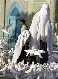 Afghan women feed pigeons at the Shrine of Hazrat Ali in Mazar-I-Sharif in northern Afghanistan, Afghanistan, Wednesday, Aug. 19, 2009. (AP Photo/Farzana Wahidy)